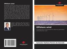 Offshore wind kitap kapağı