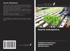 Huerto hidropónico的封面