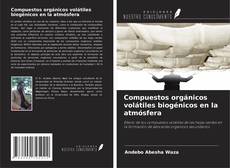 Capa do livro de Compuestos orgánicos volátiles biogénicos en la atmósfera 
