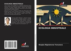 Couverture de ECOLOGIA INDUSTRIALE
