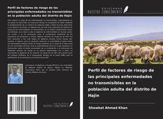 Copertina di Perfil de factores de riesgo de las principales enfermedades no transmisibles en la población adulta del distrito de Hajin