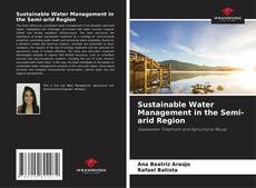 Sustainable Water Management in the Semi-arid Region的封面