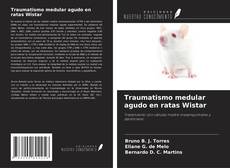 Couverture de Traumatismo medular agudo en ratas Wistar