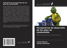 Copertina di Perspectivas de desarrollo de las pilas de combustible