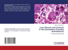 Copertina di Liver Fibrosis and Cirrhosis in the Dromedary (Camelus dromedarius)