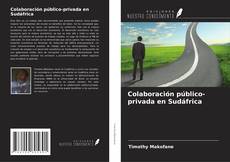 Copertina di Colaboración público-privada en Sudáfrica