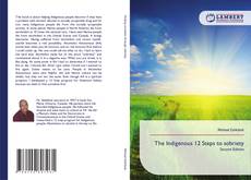 Bookcover of The Indigenous 12 Steps to sobriety