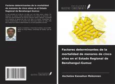 Copertina di Factores determinantes de la mortalidad de menores de cinco años en el Estado Regional de Benshangul-Gumuz
