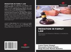 Bookcover of MEDIATION IN FAMILY LAW