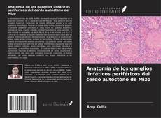 Buchcover von Anatomía de los ganglios linfáticos periféricos del cerdo autóctono de Mizo