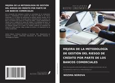 Buchcover von MEJORA DE LA METODOLOGÍA DE GESTIÓN DEL RIESGO DE CRÉDITO POR PARTE DE LOS BANCOS COMERCIALES
