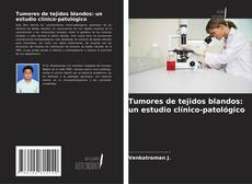 Copertina di Tumores de tejidos blandos: un estudio clínico-patológico