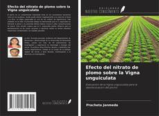 Buchcover von Efecto del nitrato de plomo sobre la Vigna unguiculata