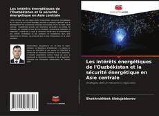 Portada del libro de Les intérêts énergétiques de l'Ouzbékistan et la sécurité énergétique en Asie centrale