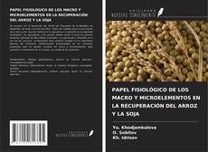 Buchcover von PAPEL FISIOLÓGICO DE LOS MACRO Y MICROELEMENTOS EN LA RECUPERACIÓN DEL ARROZ Y LA SOJA