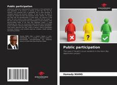 Bookcover of Public participation