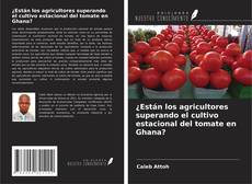 ¿Están los agricultores superando el cultivo estacional del tomate en Ghana?的封面