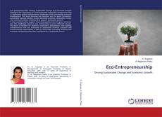 Bookcover of Eco-Entrepreneurship