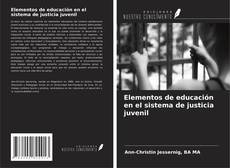 Buchcover von Elementos de educación en el sistema de justicia juvenil