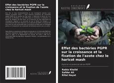 Buchcover von Effet des bactéries PGPR sur la croissance et la fixation de l'azote chez le haricot mash