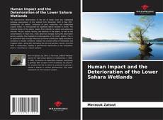 Bookcover of Human Impact and the Deterioration of the Lower Sahara Wetlands
