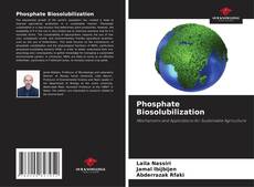 Copertina di Phosphate Biosolubilization