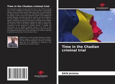 Bookcover of Time in the Chadian criminal trial