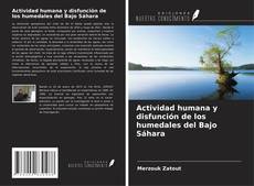 Couverture de Actividad humana y disfunción de los humedales del Bajo Sáhara
