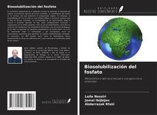 Buchcover von Biosolubilización del fosfato