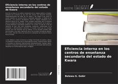 Portada del libro de Eficiencia interna en los centros de enseñanza secundaria del estado de Kwara