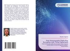 Capa do livro de Fully Homomorphic Public-Key Encryption with Three Ciphertexts 
