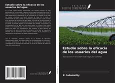 Buchcover von Estudio sobre la eficacia de los usuarios del agua