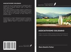 Buchcover von ASOCIATIVISMO SOLIDARIO