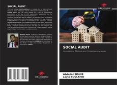 SOCIAL AUDIT kitap kapağı
