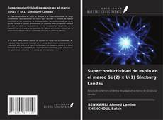 Copertina di Superconductividad de espín en el marco SU(2) × U(1) Ginzburg-Landau