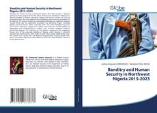 Обложка Banditry and Human Security in Northwest Nigeria 2015-2023