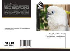 Bookcover of Chordates & Vertebrates
