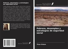 Buchcover von Pobreza, desempleo y estrategias de seguridad social
