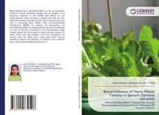 Bioremediation of Heavy Metals Toxicity in Spinach (Spinacia oleracea)的封面