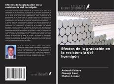 Buchcover von Efectos de la gradación en la resistencia del hormigón