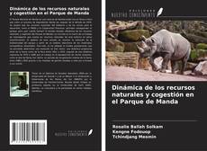 Copertina di Dinámica de los recursos naturales y cogestión en el Parque de Manda