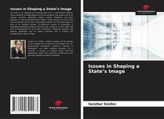 Issues in Shaping a State’s Image的封面