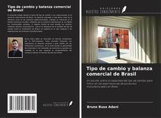 Tipo de cambio y balanza comercial de Brasil kitap kapağı
