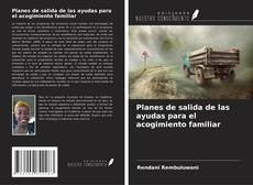 Planes de salida de las ayudas para el acogimiento familiar的封面