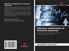 Обложка Effective mobilisation of financial resources