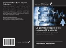 Buchcover von La gestión eficaz de los recursos financieros