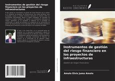 Copertina di Instrumentos de gestión del riesgo financiero en los proyectos de infraestructuras