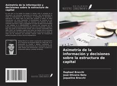 Copertina di Asimetría de la información y decisiones sobre la estructura de capital
