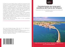Portada del libro de Caracterización de rocas para escolleras del Puerto de Tampico