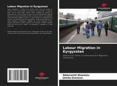 Bookcover of Labour Migration in Kyrgyzstan